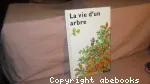 vignette