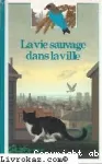 vignette