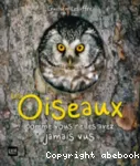Les oiseaux comme vous ne les avez jamais vus vignette